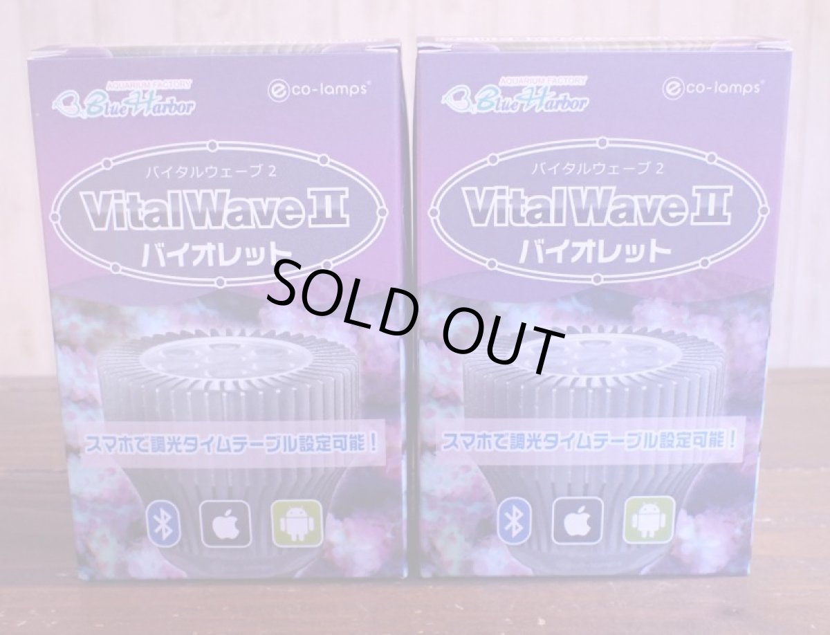 画像1: バイタルウェーブ２ バイオレット　1つ　 (1)