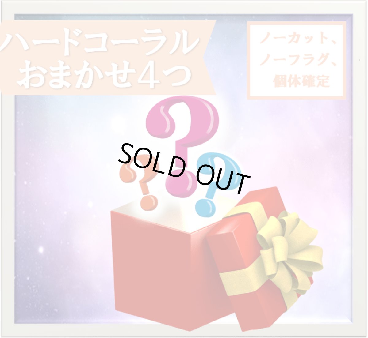 画像1: ハードコーラル　４つセット (1)