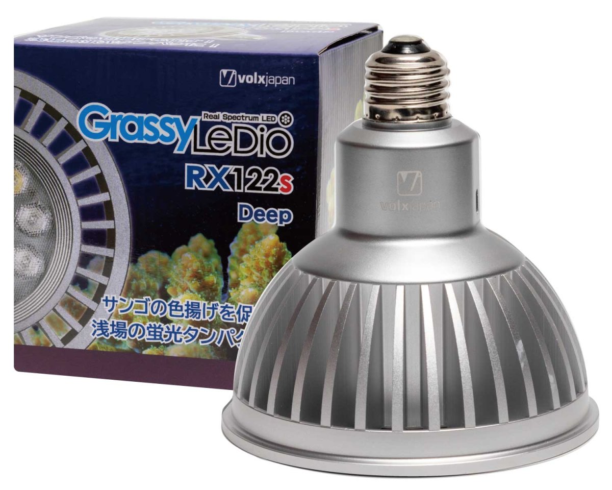画像1: GrassyLeDiO RX122s Deep(シルバー) (1)