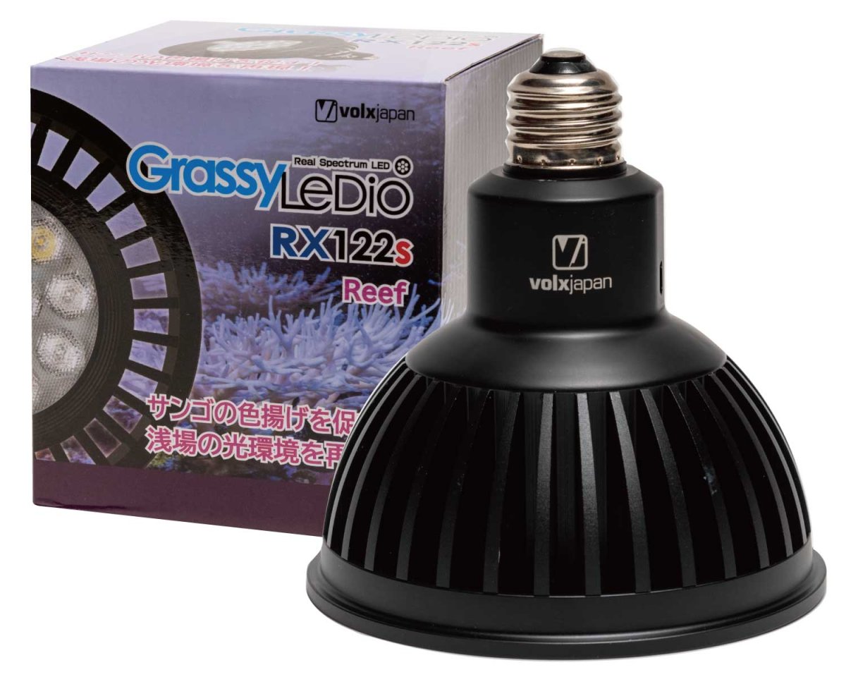 画像1: GrassyLeDiO RX122s Reef (ブラック) (1)