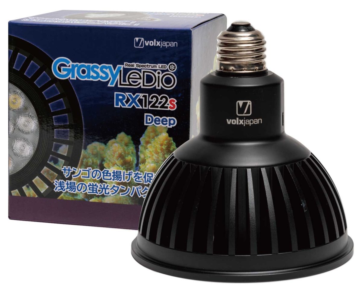 画像1: GrassyLeDiO RX122s Deep(ブラック) (1)