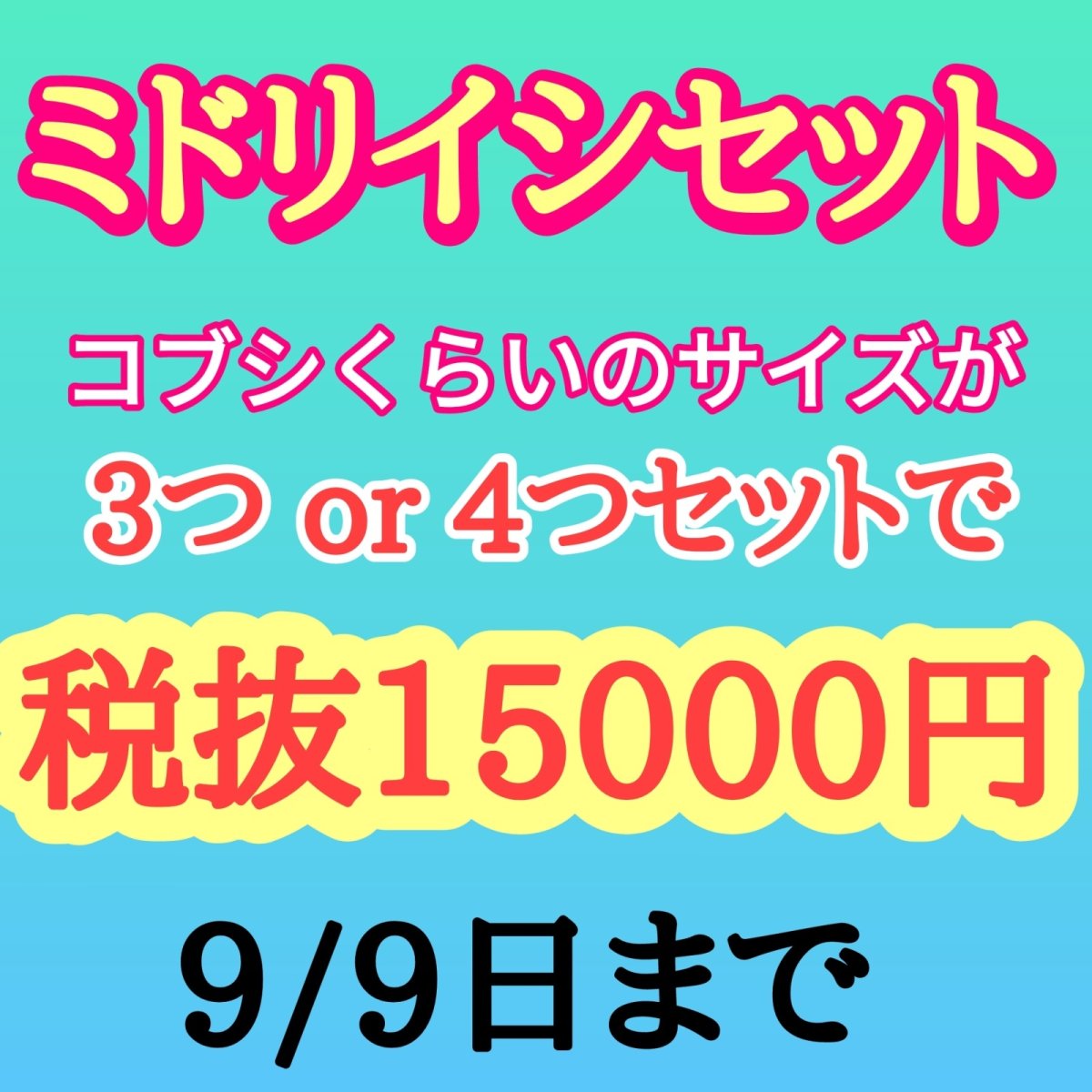 画像1: ミドリイシセット (1)
