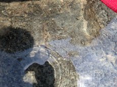 画像3: 天然海水　 (3)