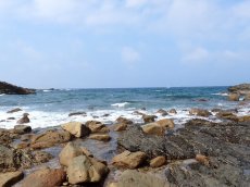 画像2: 天然海水　 (2)