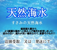 画像1: 天然海水　 (1)