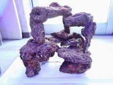 画像5: No.10 ライブロック　2個セット　海藻など付き　約2.1ｋｇ (5)