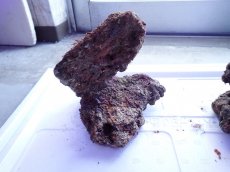 画像9: No.10 ライブロック　2個セット　海藻など付き　約2.1ｋｇ (9)