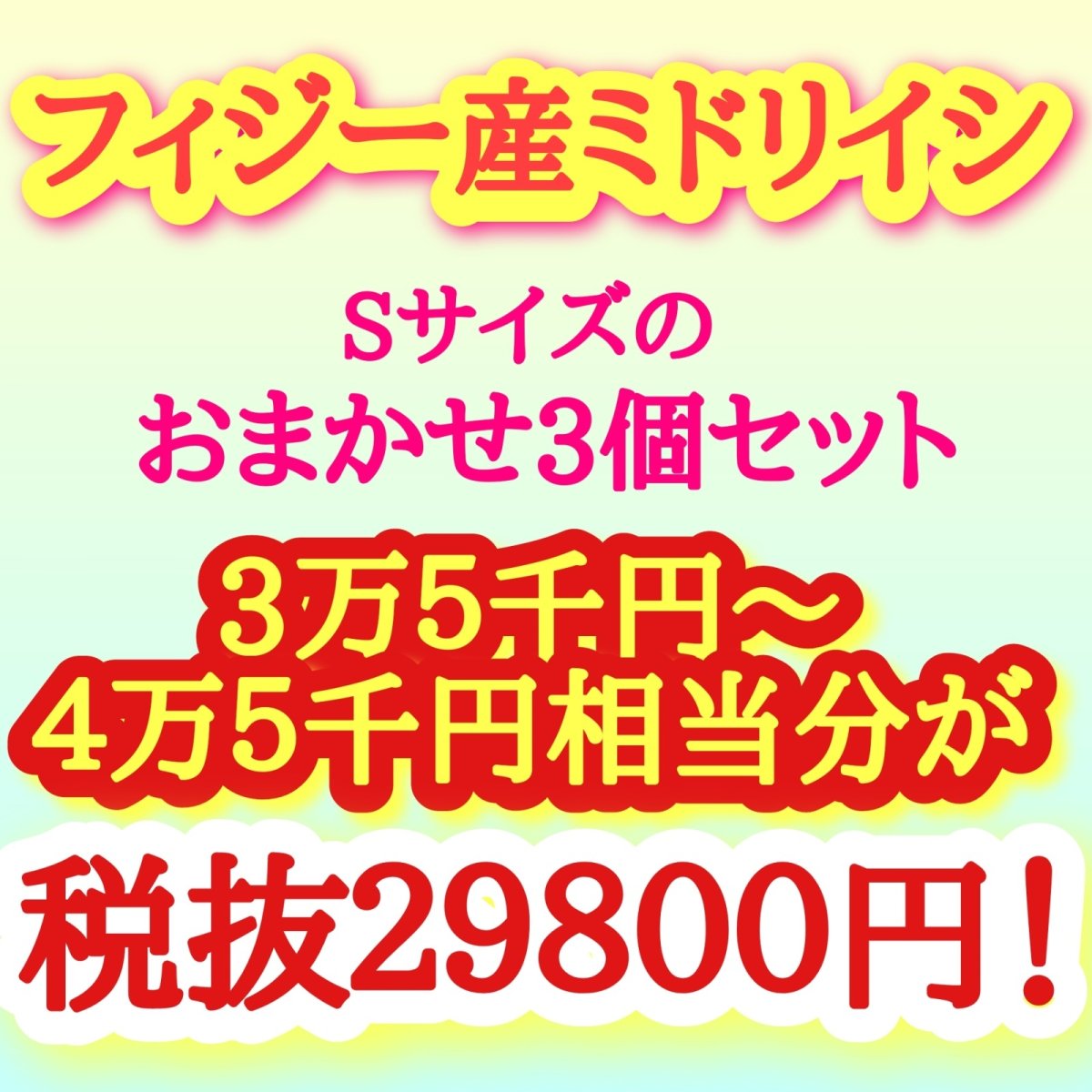 画像1: フィジー産　ミドリイシ　オトクな３つセット (1)