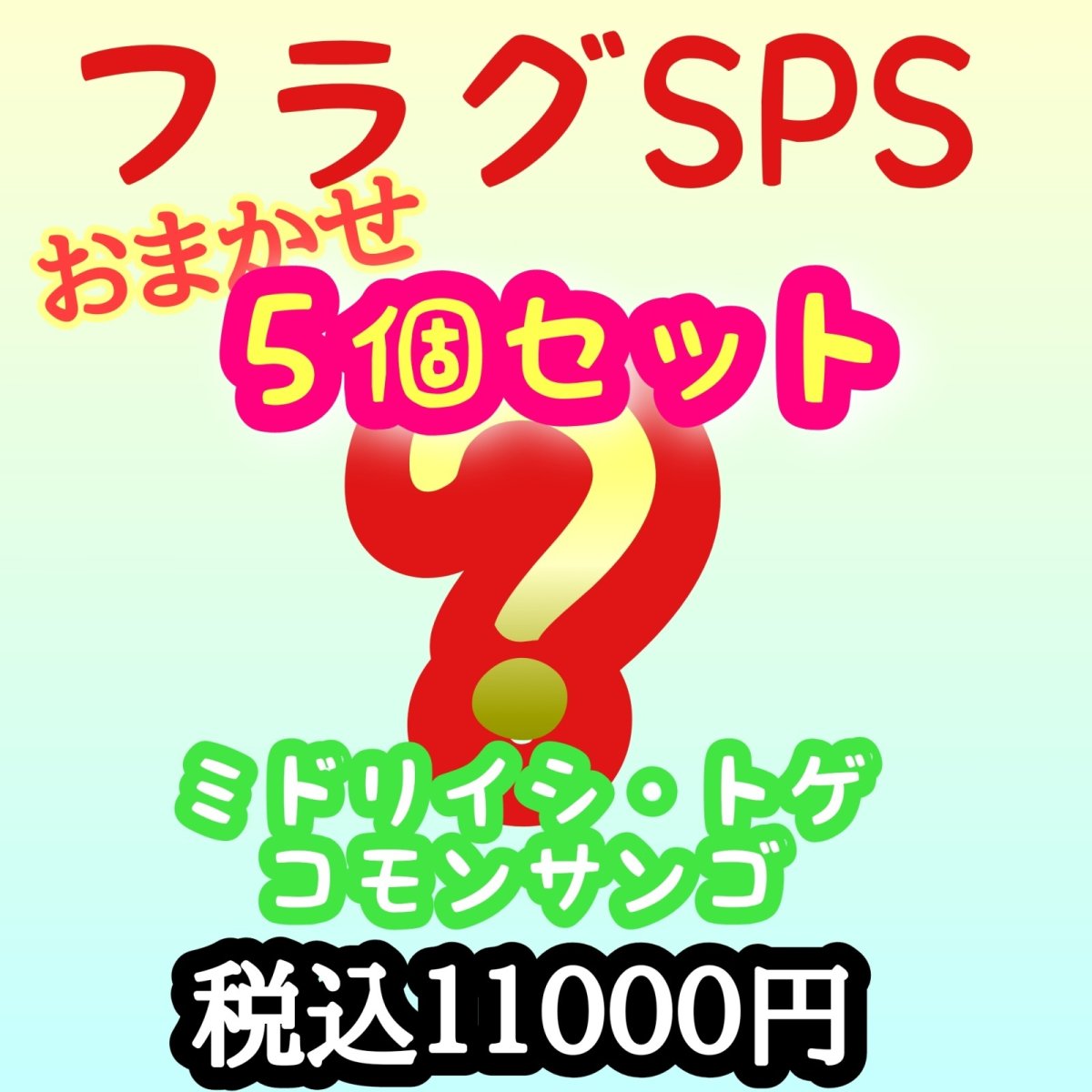 画像1: spsフラグセット (1)