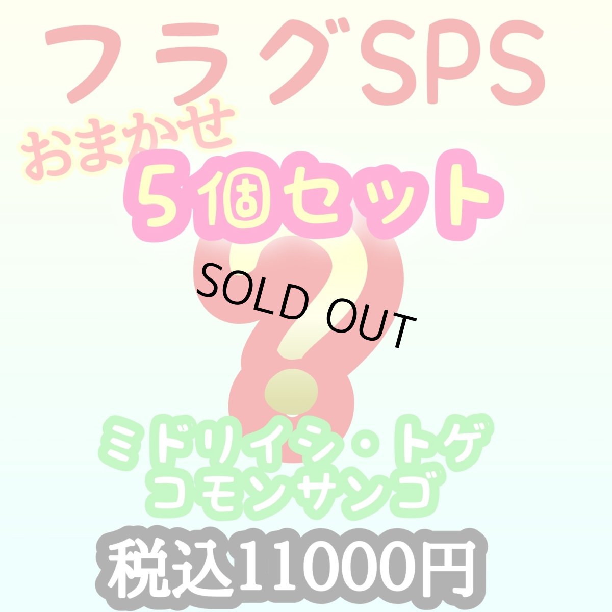 画像1: spsフラグセット (1)
