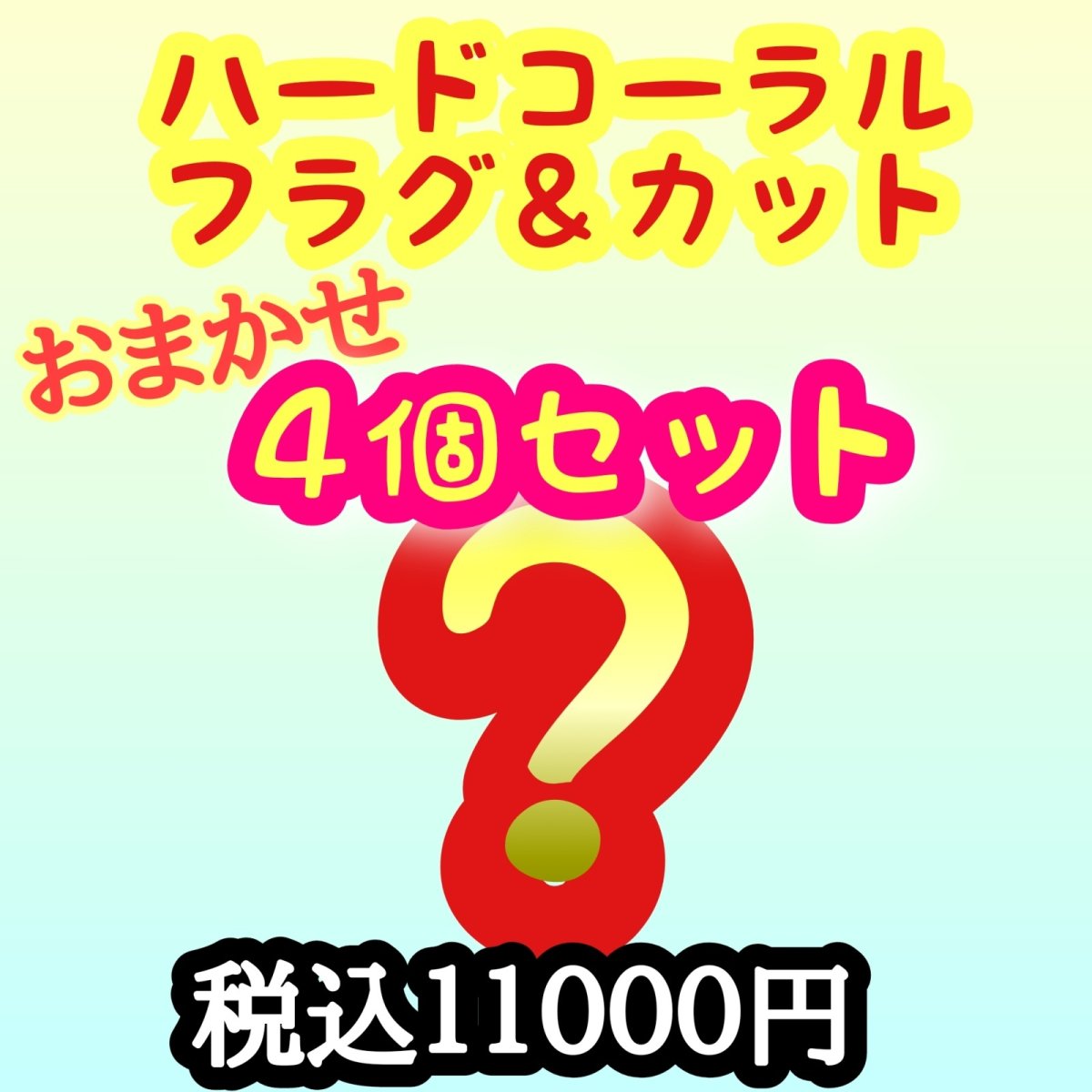 画像1: ハードコーラルセット (1)