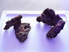 画像1: No.16 ライブロック　2個セット　海藻など付き　約2.3ｋｇ (1)