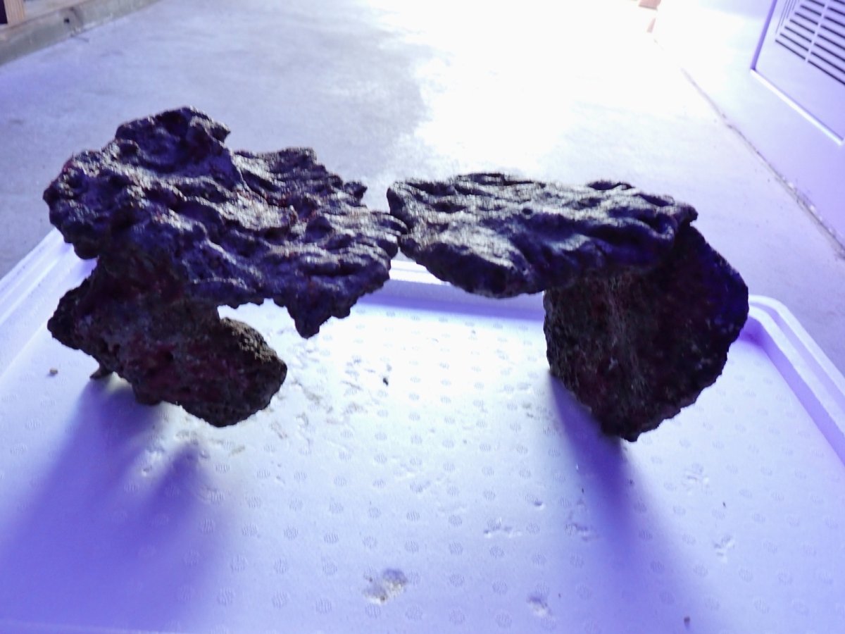 画像3: No.17 ライブロック　2個セット　海藻など付き　約2.3ｋｇ (3)