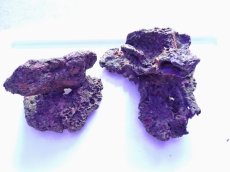 画像1: No.15 ライブロック　2個セット　海藻など付き　約3ｋｇ (1)