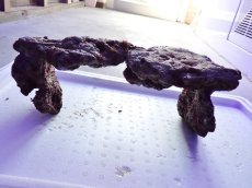 画像3: No.16 ライブロック　2個セット　海藻など付き　約2.3ｋｇ (3)