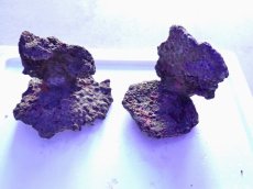 画像1: No.17 ライブロック　2個セット　海藻など付き　約2.3ｋｇ (1)