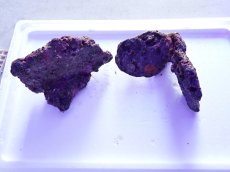 画像1: No.18 ライブロック　2個セット　海藻など付き　約2.1ｋｇ (1)