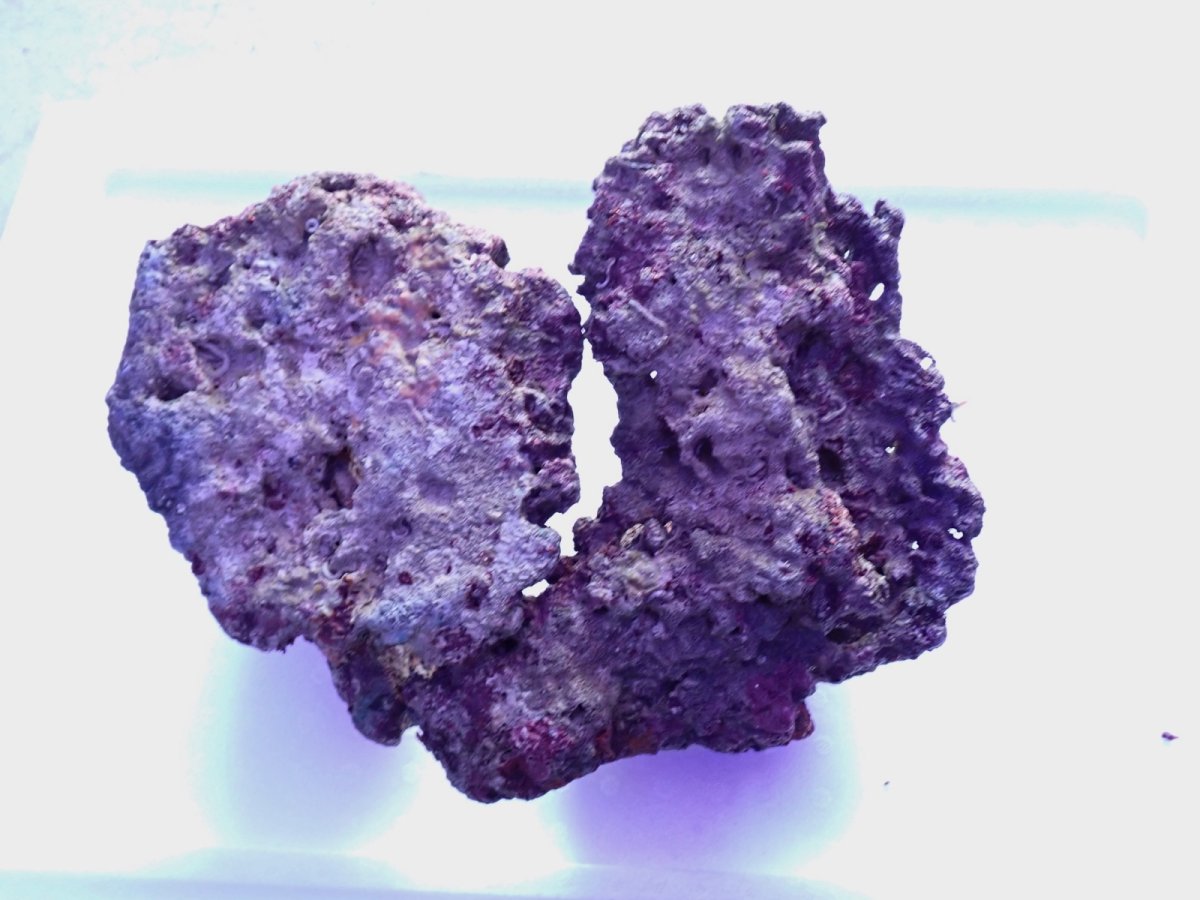 画像4: No.15 ライブロック　2個セット　海藻など付き　約3ｋｇ (4)