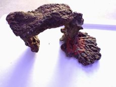 画像1: No.14 ライブロック　2個セット　海藻など付き　約1.8ｋｇ (1)