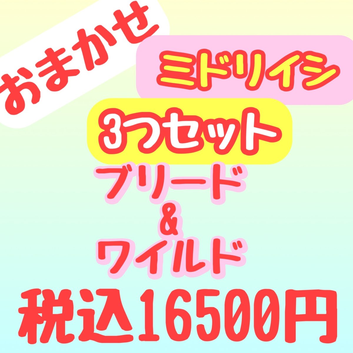 画像1: ミドリイシ 3つセット (1)