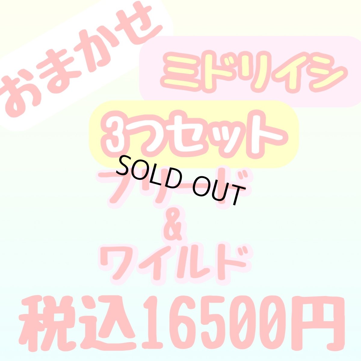 画像1: ミドリイシ 3つセット (1)