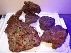 画像2: No.1 ライブロック　約１.5ｋｇ (2)