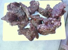 画像4: No.1 ライブロック　約１.5ｋｇ (4)