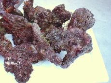 画像3: No.1 ライブロック　約１.5ｋｇ (3)