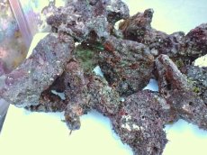 画像2: No.1 ライブロック　約１.5ｋｇ (2)