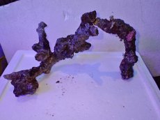 画像5: No.5 個体販売 オーストラリア産 ブランチロック 約1.85ｋｇ (5)