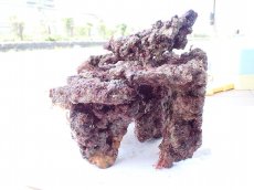 画像6: No.10 オリジナルライブロック　約1.1ｋｇ (6)