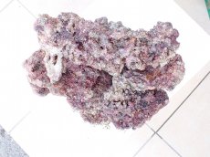 画像5: No.5 オリジナルライブロック　約0.85ｋｇ (5)