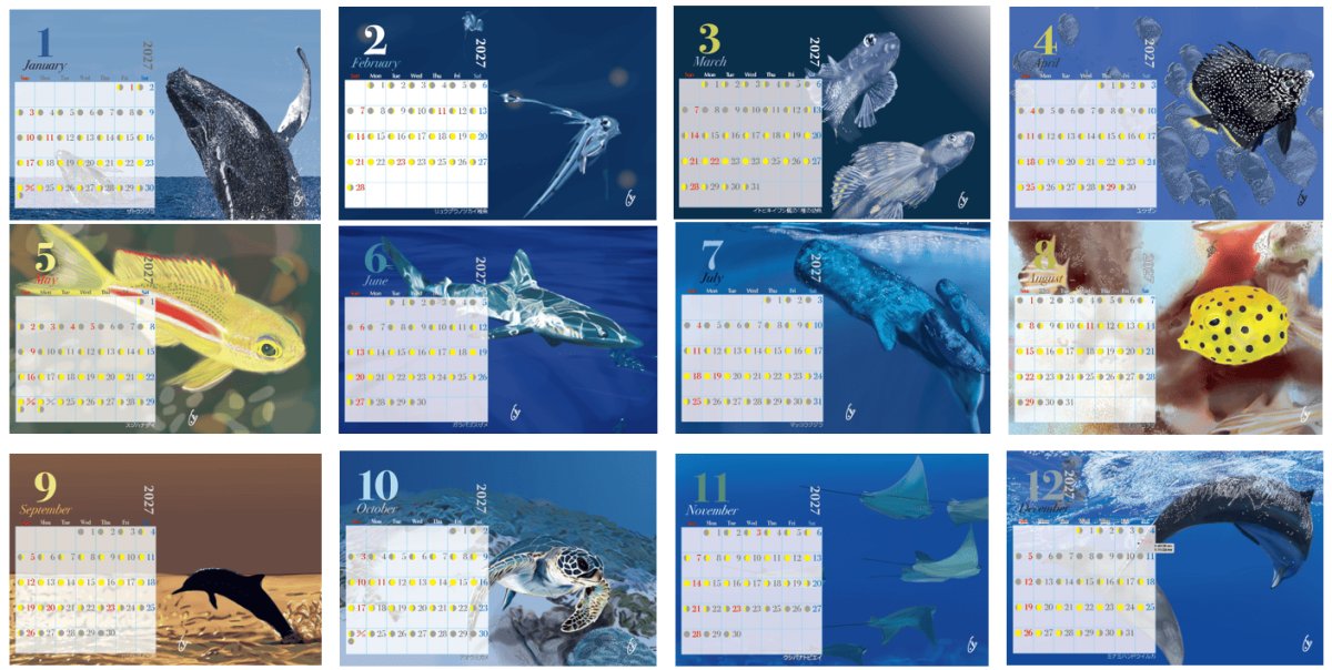 画像2: 小笠原の魚たち　カレンダー　2027年　卓上カレンダー (2)