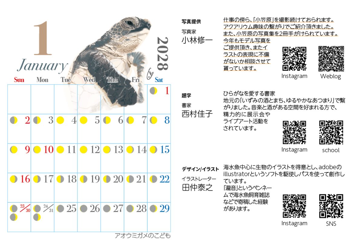 画像3: 小笠原の魚たち　カレンダー　2027年　卓上カレンダー (3)