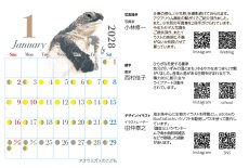 画像3: 小笠原の魚たち　カレンダー　2027年　卓上カレンダー (3)