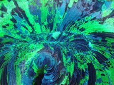 画像2: No.6 オオバナサンゴ マルチカラー (2)