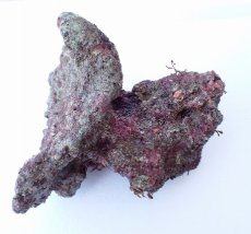 画像1: No.1 オリジナルライブロック　約1.1ｋｇ (1)