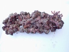 画像1: No.3 オリジナルライブロック　約0.65ｋｇ (1)