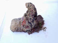 画像1: No.4 オリジナルライブロック　約0.75ｋｇ (1)