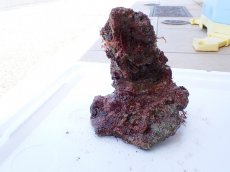 画像2: No.5 オリジナルライブロック　約0.85ｋｇ (2)