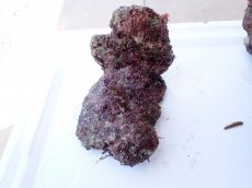 画像1: No.6 オリジナルライブロック　約1.15ｋｇ (1)