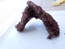 画像2: No.6 オリジナルライブロック　約1.15ｋｇ (2)