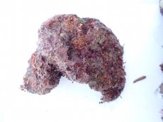 画像3: No.6 オリジナルライブロック　約1.15ｋｇ (3)