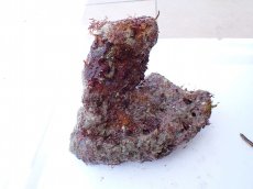 画像1: No.7 オリジナルライブロック　約1.55ｋｇ (1)