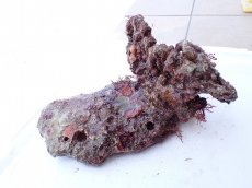 画像1: No.8 オリジナルライブロック　約1.2ｋｇ (1)