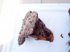 画像3: No.9 オリジナルライブロック　約1.3ｋｇ (3)