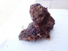 画像1: No.10 オリジナルライブロック　約1.1ｋｇ (1)