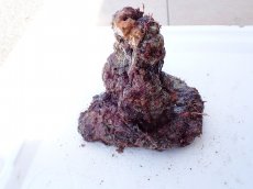 画像1: No.11 オリジナルライブロック　約0.85ｋｇ (1)