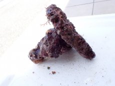 画像2: No.11 オリジナルライブロック　約0.85ｋｇ (2)