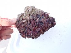 画像3: No.11 オリジナルライブロック　約0.85ｋｇ (3)